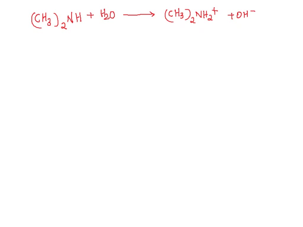 among-so3h-and-cooh-which-functional-group-is-taken-as-main-functional