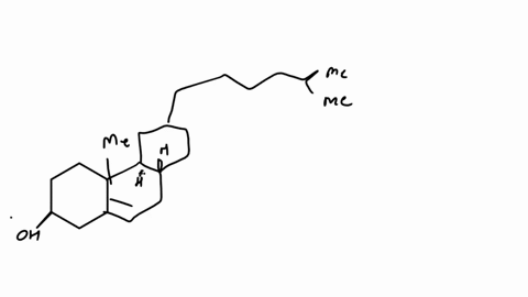 q2-in-organic-synthesis-aldehydes-and-ketones-are-often-protected-as-acetals-or-ketals-protecting-groups-are-chemical-modifications-of-molecules-that-shut-off-unwanted-reactivity-of-a-fg-in-73747