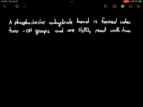 ____-has-phosphodiester-anhydride-bond-dna-incorrect-rna-cyclic-adenosine-monophosphate-cytidine-diphosphate-none-of-the-above-54917