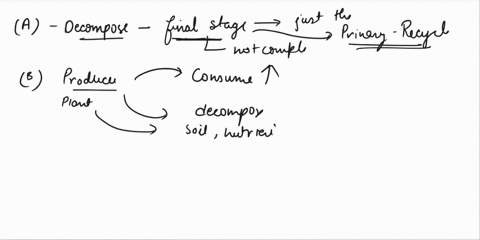 which-hypothesis-is-supported-by-evidence-from-ecological-research-a-decomposers-are-the-final-stage-in-the-food-chain-b-producers-depend-upon-consumers-more-than-on-decomposers-c-decomposer-60467