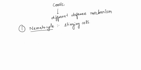 describe-how-cnidarians-defend-themselves-73652