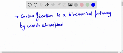 question-11-in-which-of-the-following-is-chemical-energy-used-for-carbon-fixation-fermentation-krebs-cycle-glycolysis-photosynthesis-78369