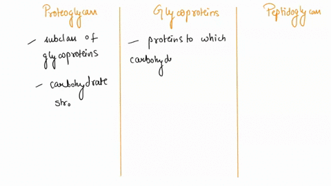 1-what-is-the-difference-between-a-proteoglycan-glycoproteins-and-peptidoglycan-2-also-what-are-the-functions-of-each-3-please-show-diagrams-showing-the-structure-for-each-39033