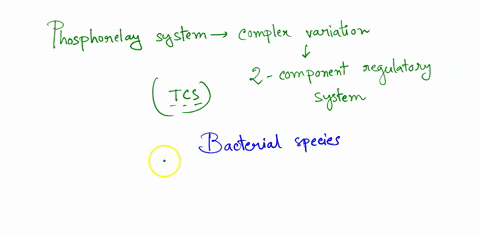 plant-phosphor-relay-system-which-are-thought-to-be-derived-from-bacterial-two-component-signaling-cascades-are-in-fact-not-found-in-plants-and-any-similarity-is-the-result-of-convergent-evo-11506