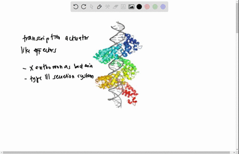 this-image-shows-dna-gray-interacting-with-a-computergenerated-model-of-a-tal-protein-multicolored-o-25333