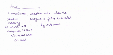 an-enzyme-has-a-vmax-of-150-micromoles-product-formed-per-minute-by-a-mg-of-enzyme-the-km-for-the-major-substrate-of-the-enzyme-is-15-mm-a-what-is-the-initial-reaction-rate-vo-when-the-s-is-88933