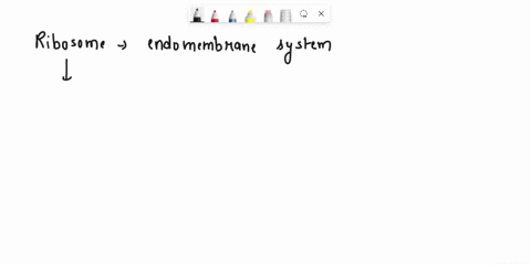 adaptin-d-ctathrn-ol-the-tollotng-not-part-of-tne-endomcinbaunc-iyltcr-ribotome-goli-epnacatut-dcoutlet-crit-rexponte-0-enalcan-bc-ut-intoheichanar-ena-edtetton-mole-prolein-dor-inet-invokyo-70918
