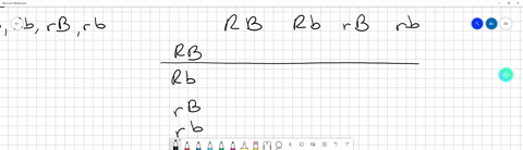 red-kernel-color-in-wheat-results-from-the-presence-of-at-least-one-dominant-allele-at-each-of-two-independently-segregating-genes-that-is-r_b_-kernels-on-doubly-homozvgous-recessive-plants-86626