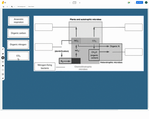 The diagram shows components of a natural wetland habitat. Bacteria and ...