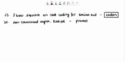 25-the-three-base-sequence-on-dna-that-codes-for-an-amino-acid-is-called-aan-aprimer-bexon-canticodon-dintron-ecodon-26-called-the-apromoter-boperator-coperon-dexon-eintron-27-rna-molecules-81565