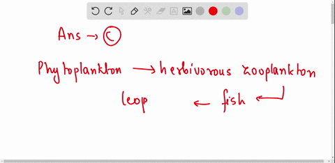 i-think-its-b-the-illustration-shows-a-representative-food-web-found-in-the-marine-environment-which-food-chain-best-represents-one-flow-of-energy-through-this-marine-ecosystem-will-insert-p-01652