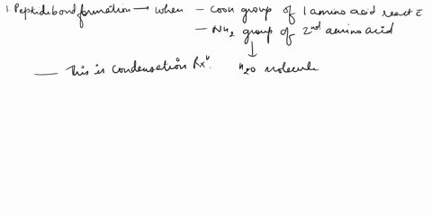 teaching-the-peptide-bond-please-teach-us-about-the-peptide-bond-youil-need-to-go-over-the-resonance-structures-of-the-peptide-bond-and-what-implication-those-resonance-structures-have-for-t-76576