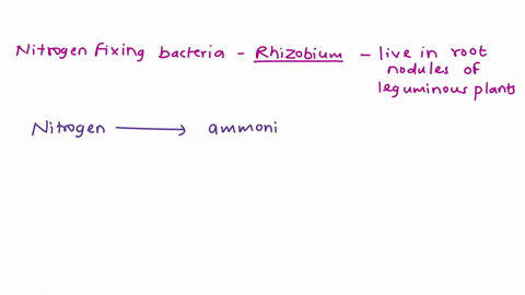 which-of-these-occurs-through-symbiotic-nitrogen-fixation-a-the-plant-benefits-from-using-an-endless-54244