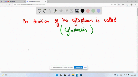 the-division-of-the-cytoplasm-is-called-select-one-a-meiosis-b-crossing-over-c-cytokinesis-d-mitosis-45718