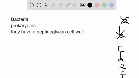 select-all-of-the-following-that-are-true-about-organisms-in-domain-bacteria-check-all-that-apply-contain-multiple-nuclei-in-each-cell-most-lack-cell-walls-some-live-in-human-intestines-and-36109