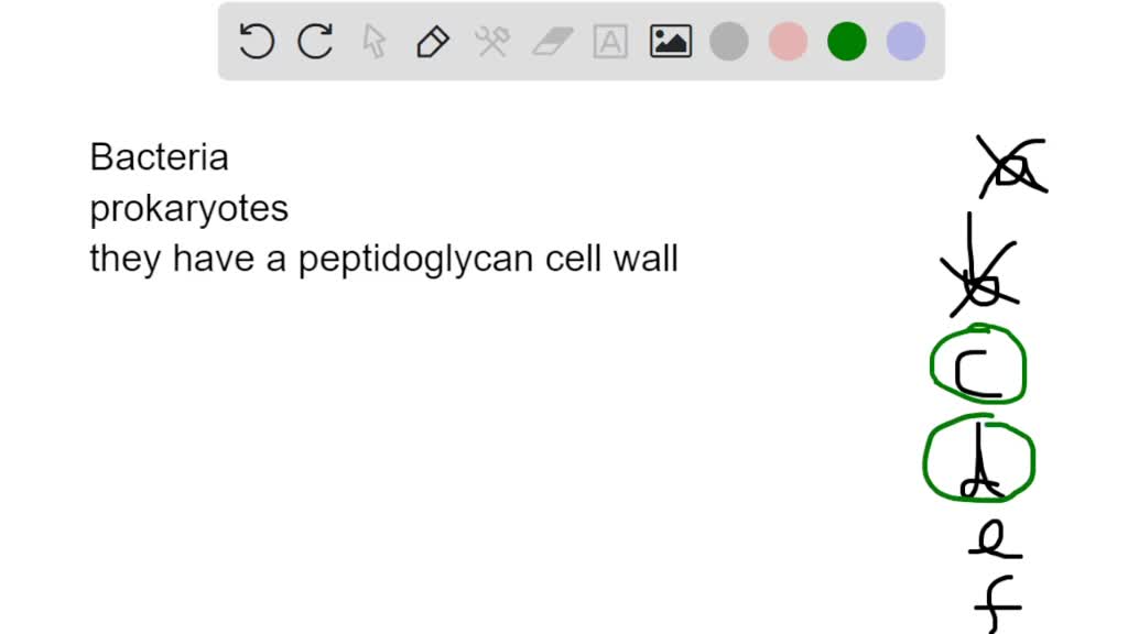 SOLVED: Select all of the following that are true about organisms in ...