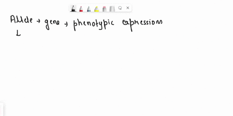 alleles-are-different-phenotypic-expressions-of-a-singular-genotype-true-or-false-05692