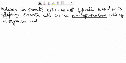 mutations-in-somatic-cells-are-more-likely-to-affect-the-offspring-of-any-given-organism-true-false-39257