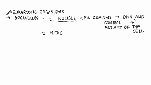 identify-four-organelles-that-should-be-present-in-the-eukaryotic-organism-and-describe-the-function-of-each-organelle-18511