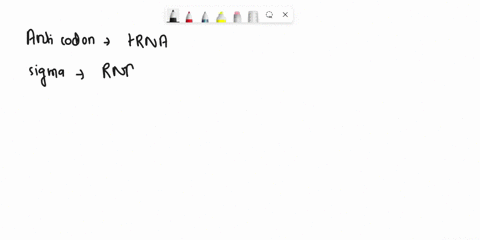match-the-molecule-or-dnarna-region-to-its-correct-description-anti-codon-choose-set-of-three-bases-within-dna-where-transcription-begins-region-added-to-eukaryotic-mrna-for-stabilization-po-35804