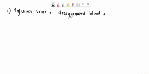 inferor-veins-cornes-fromn-enlers-inferior-vena-cava-right-lelt-adrenolumbar-right-lctt-rcnal-right-left-grealer-saphenous-right-lell-iliolumbar-right-lent-cotinon-iliae-ri-l-exleral-iliac-r-44759
