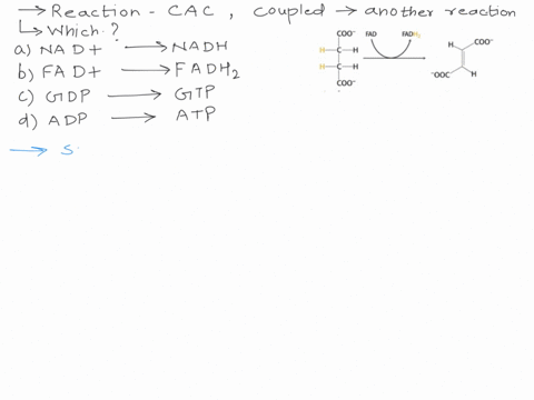 the-following-reaction-from-citric-acid-cycle-is-coupled-with-another-reaction-which-one-is-it-points-coo-fad-fadh-coo-ooc-coo-nad-nadh-6-fad-fadh2-gdp-gtp-adp-atp-42115
