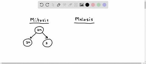 mitosis-and-meiosis-are-two-types-of-cell-division-that-occur-in-many-organisms-assuming-these-divisions-start-with-a-single-diploid-cell-how-are-the-products-of-these-two-division-processes-09143