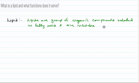 what-is-a-lipid-and-what-functions-does-it-serve-25444