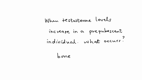 when-testosterone-levels-increase-in-a-prepubescent-individual-what-occurs-bone-mineralisation-osteoperosis-acromegaly-dwarfism-gigantism