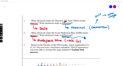 what-chemicals-make-the-mannitol-salt-agar-msa-media-selective-what-chemicals-make-it-differential-what-chemicals-make-the-eosin-methylene-blue-emb-media-selective-what-chemicals-make-it-dif-26251
