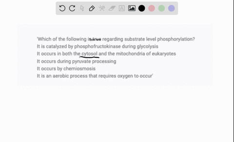 which-of-the-following-is-true-regarding-substrate-level-phosphorylation-it-is-catalyzed-by-phosphofructokinase-during-glycolysis-it-occurs-in-both-the-cytosol-and-the-mitochondria-of-eukary-02055