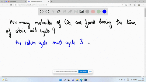 how-many-co2-molecules-are-actually-fixed-during-one-turn-of-the-calvin-cycle-63126