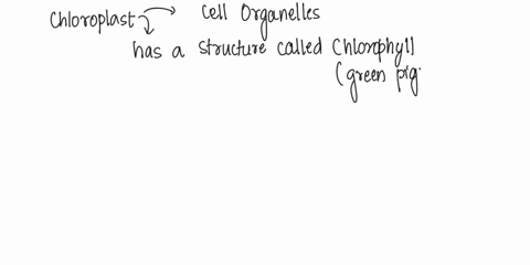 what-is-the-main-function-of-chloroplasts-choose-1-answer-choice-a-a-to-convert-sunlight-into-usable-sugars-choice-b-b-to-store-food-water-and-waste-choice-c-c-to-package-and-sort-proteins-c-66809