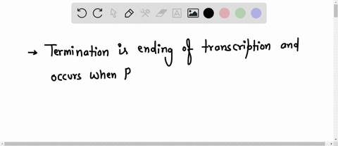 what-happens-during-the-termination-step-of-dna-transcription-the-mrna-detaches-from-the-rna-polymerase-as-the-rna-polymerase-leaves-the-dna-strand-ribosome-atlaches-to-the-initiation-codon-70284