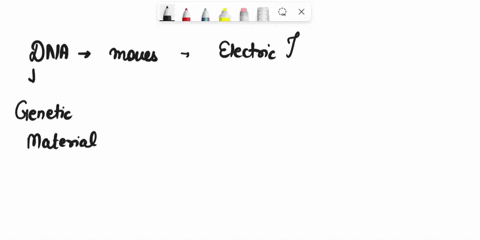 why-does-dna-move-in-the-electric-field-how-do-you-make-dna-bands-visible-how-to-read-dna-gels-using-the-tpa-gel-as-an-example-know-73829