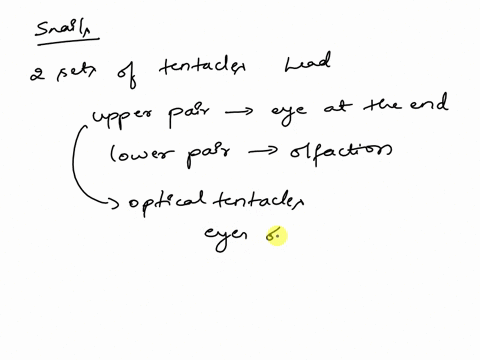 what-is-the-advantage-of-a-snail-having-eyes-at-the-tip-of-its-tentacles-stalks-27182
