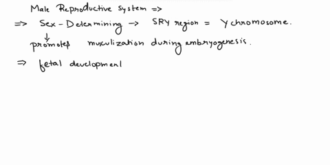 if-the-y-chromosome-is-present-a-region-of-the-y-chromosome-will-begin-expressing-genes-that-start-the-process-of-masculinization-of-internal-structures-this-region-is-known-as-the-region-or-53987