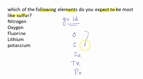 which-of-the-following-elements-do-you-expect-to-be-most-like-sulfur-nitrogen-oxygen-fluorine-lithium-potassium-15891