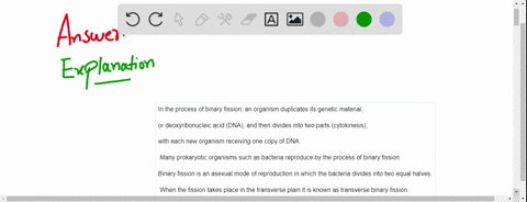 in-a-culture-of-bacteria-that-is-actively-multiplying-by-transverse-binary-fission-are-there-any-old-cells-explain-your-answer-would-you-expect-generation-time-t0-be-constant-characteristic-63534