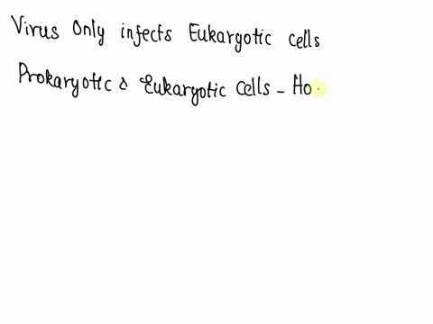 viruses-only-infect-eukaryotic-cells-select-one-true-false-73078