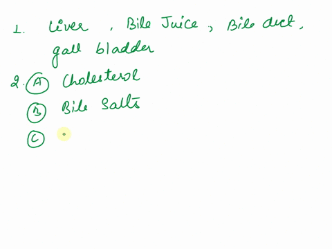 4-5-digestive-system-part2worksheet-11the-is-a-large-organ-in-the-abdominal-cavityits-primary-contribution-to-digestion-is-the-production-of-also-called-gallits-a-bitteryellow-or-green-alkal-87805