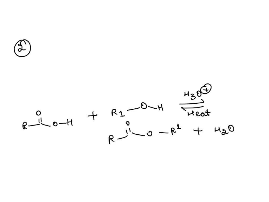 SOLVED: Assignment 25: Identify the nucleophile and electrophile in ...