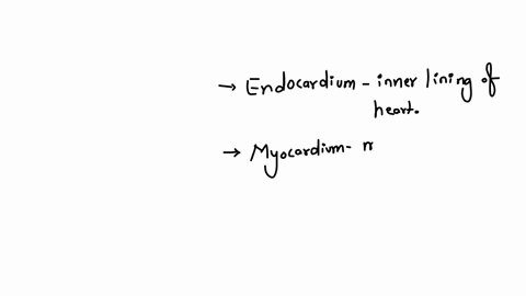 which-describes-the-parietol-pericardium-the-outermost-serous-membrane-the-inner-lining-of-the-heart-the-membrane-attached-directly-to-the-surface-of-the-heart-the-muscle-layer-of-the-heart