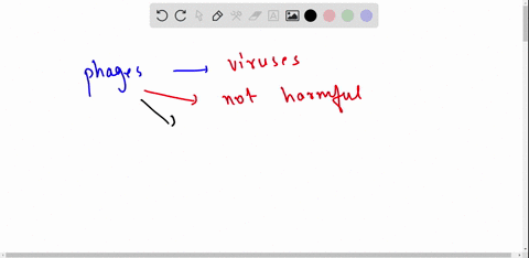 why-is-no-one-concerned-that-a-patient-would-be-sickened-by-the-viruses-used-as-part-of-phage-therapy-97849