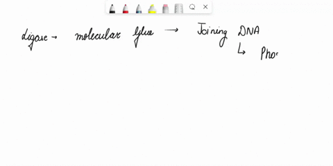 on-one-of-the-dna-templates-replication-occurs-in-a-discontinuous-piece-by-piece-way-resulting-in-gaps-in-the-produced-strand-which-enzyme-joins-the-gaps-during-dna-replication-hellcase-dna-16478
