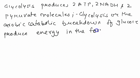 what-is-the-energy-yield-from-glycolysis-65924