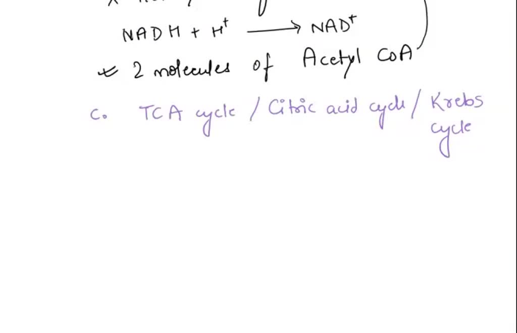 SOLVED 3 Draw a simple schematic and calculate the net yields of ATP
