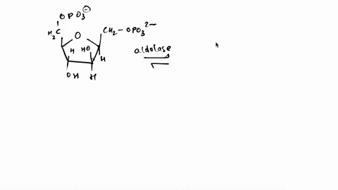 complete-the-aldolase-reaction-of-glycolysis-by-drawing-the-product-or-products-modify-the-molecule-shown-in-linear-form-for-simplicity-to-show-the-product-or-products-of-the-reaction-hzc-_-01835