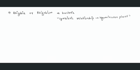 according-to-shape-rhizobia-are-which-type-of-bacteria-a-cocci-bbacilli-c-spirilli-d-clustered-bacailli-93932