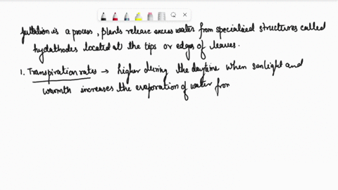 guttation-in-plants-occurs-maximum-at-midday-true-or-false-and-give-explanation-in-support-of-your-answer-96295